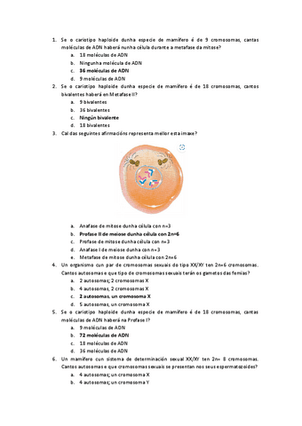 cuestionario-xenetica.docx.pdf