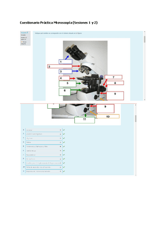 Cuestionario-Practica-Microscopia-Sesiones-1-y-2.pdf