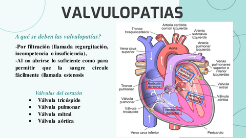 VALVULOPATIAS.pdf