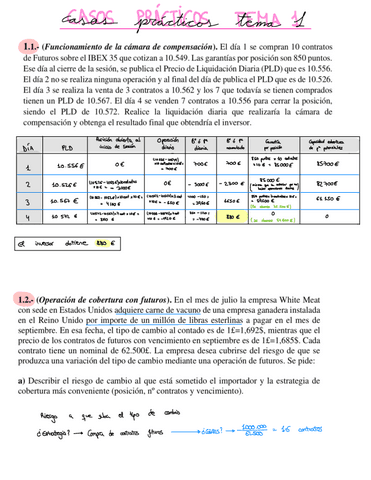 Casos Tema 1 Resueltos.pdf