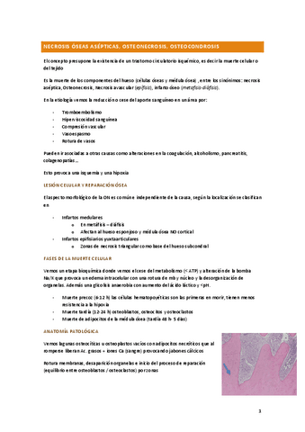 OSTEONECROSIS.pdf