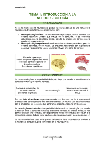 Neuropsicologia-Tema-1.pdf