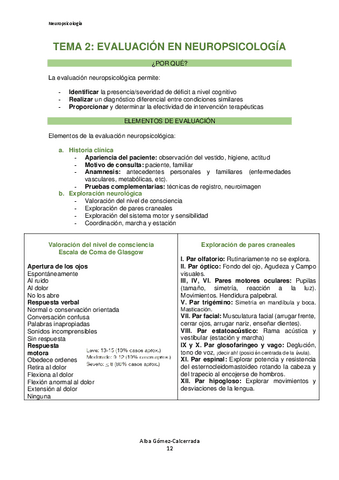 Neuropsicologia-Tema-2.pdf