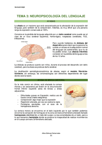 Neuropsicologia-Tema-3.pdf