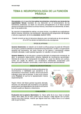 Neuropsicologia-Tema-6.pdf