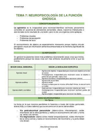 Neuropsicologia-Tema-7.pdf