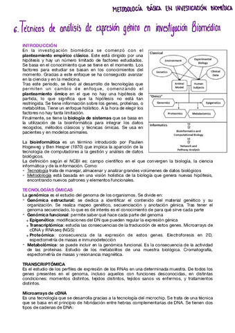 Tema-6-metodologia.pdf