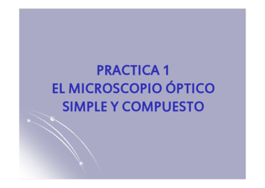 PRACTICA 1. Microscopio simple y compuesto modificado enologia 1.pdf