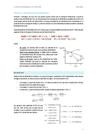 Tema-3.-Fosforilacio-oxidativa.pdf