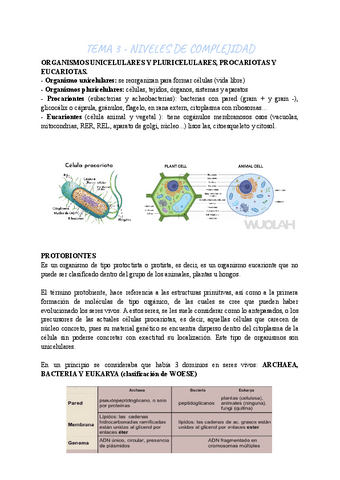 BIOLOGIA-TEMA-3.pdf