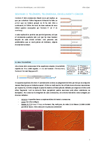 Seminari-3-telomers-telomerasa-envelliment-i-tumors.pdf