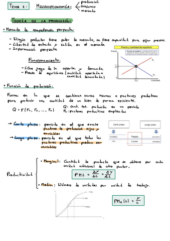 Tema 2-microeconomia.pdf