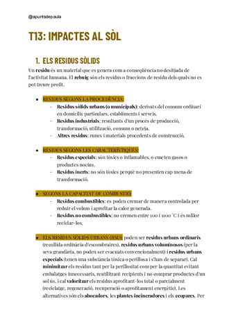 T13-Impactes-al-sol.pdf