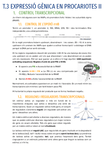 T.3-EXPRESSIO-GENICA-EN-PROCARIOTES-II.pdf