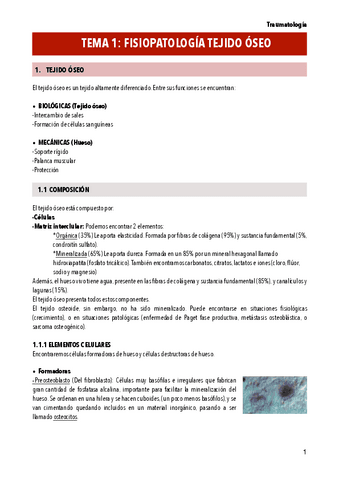 T1-FISIOPATOLOGIA-OSEA.pdf