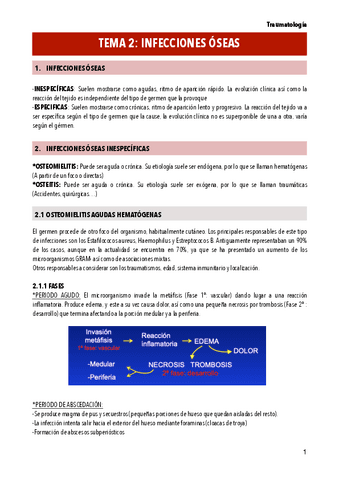 T2-INFECCIONES-OSEAS.pdf