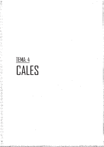 Materiales-II-TEMA-4-CALESCUEST-L.pdf