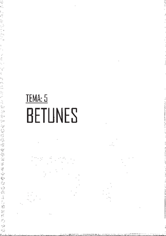Materiales-II-TEMA-5-BETUNESAPUNTES-L.pdf