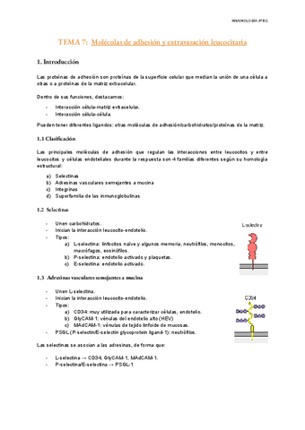 TEMA-7-Inmunologia.pdf