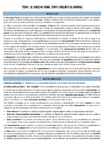 derecho-penal-T1.pdf