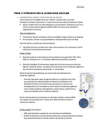 Tema-1-Introduccion-a-la-Biologia-celular.pdf