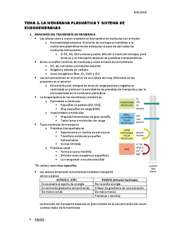 Tema-3-La-membrana-plasmatica-y-sistema-de-endomembranas.pdf