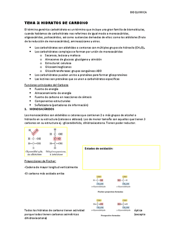 Tema-3-Hidratos-de-Carbono.pdf