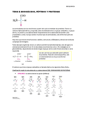 Tema-5-proteinas.pdf