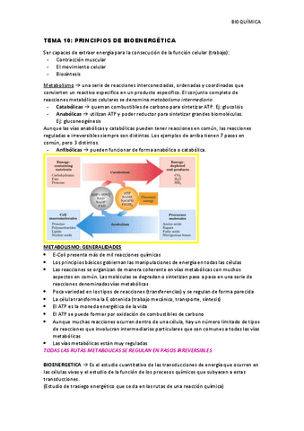 Tema-10-principios-de-bioenergetica.pdf