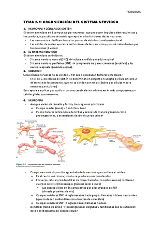 Tema-2.1-Organizacion-del-sistema-nervioso.pdf
