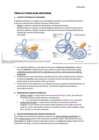 Tema-5.2-Fisiologia-sensorial.pdf