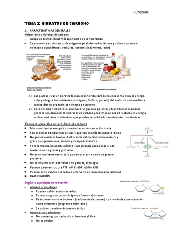 Tema-2-Hidratos-de-carbono.pdf
