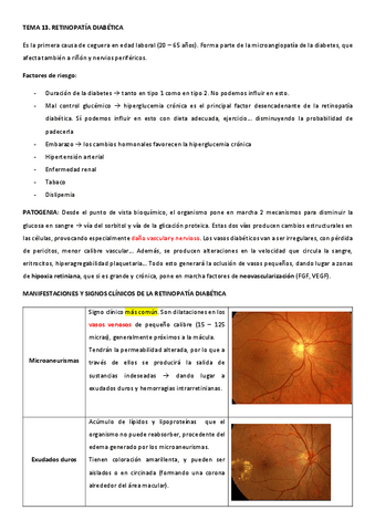 RETINOPATIA-DIABETICA.pdf