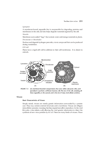 llibre1-20.pdf