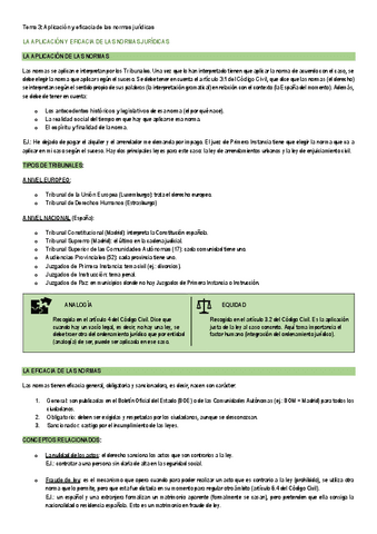 TEMA-3-APLICACION-Y-EFICACIA-DE-LAS-NORMAS-JURIDICAS.pdf