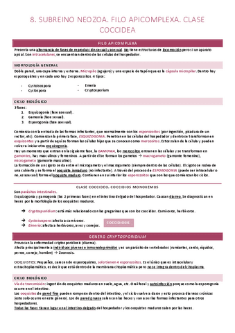 8. Neozoa. Filo Apicomplexa. Clase Coccidea.pdf