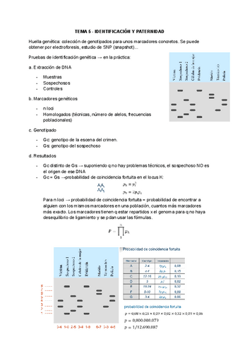 TEMA-5-IDENTIFICACION-Y-PATERNIDAD.pdf