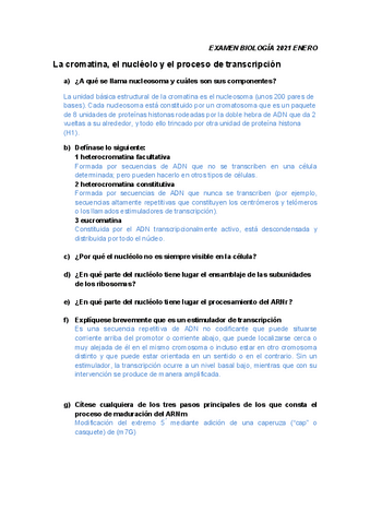 Examen-resuelto.pdf