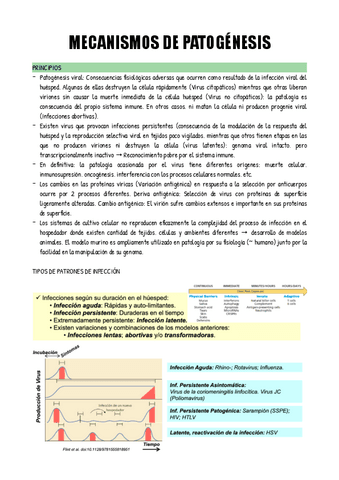 TEMA-8.pdf