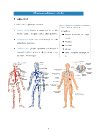 Tema-3.-Alteraciones-del-sistema-vascular.pdf