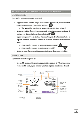 PRACTICA-3.-SUTURAS.pdf