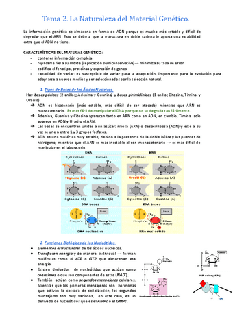 Tema-2.-GME-La-Naturaleza-del-Material-Genetico.pdf