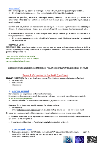T.1-Cromosoma-bacteria.docx.pdf