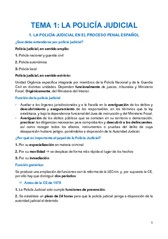 TEMA-1-PROCESO-PENAL.pdf