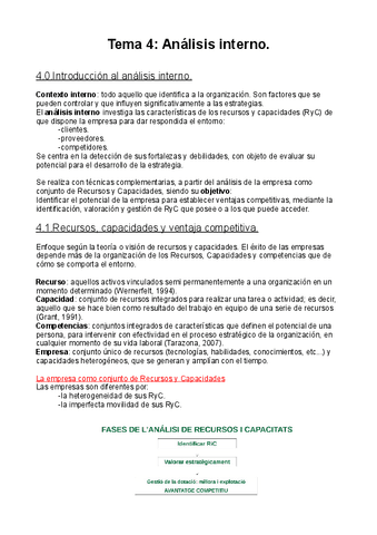 T4.-Analisis-interno.pdf