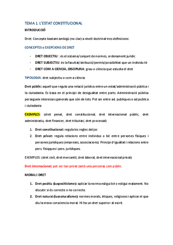 DRET-CONST.-TOT-EL-CURS.pdf