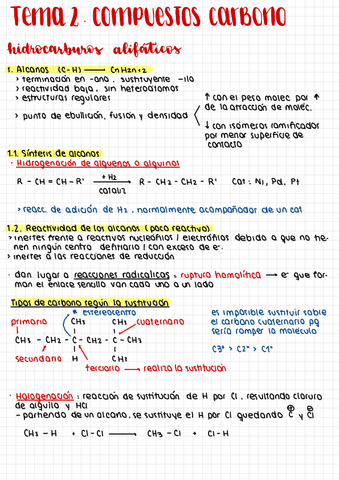 Quimica-Biomolecular-Sintesis.pdf