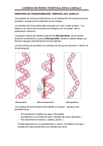 cambios-de-forma-temporal-del-cabello-resumen-CS-E...pdf
