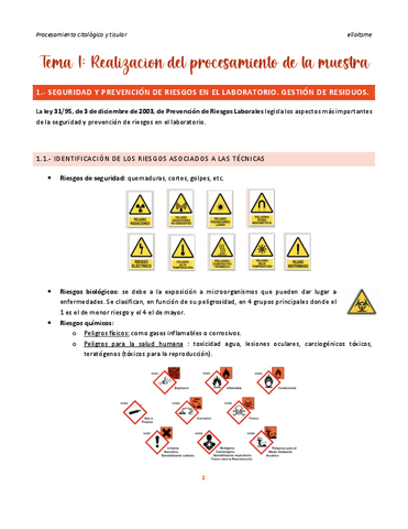 T1-Procesamiento.pdf