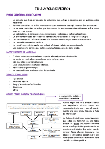Tema-2-intervencion-en-psicologia-clinica.pdf